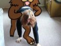 Drageapedobear.jpg